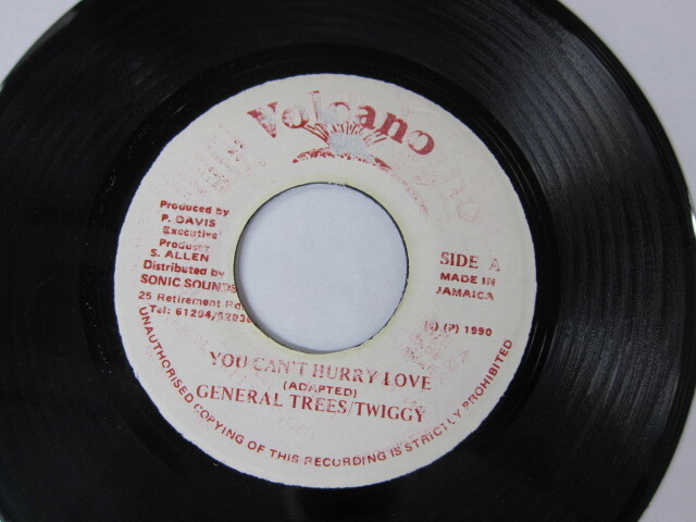 GENERAL TREE & TWIGGY / YOU CAN'T HURRY LOVE / VOLCANO