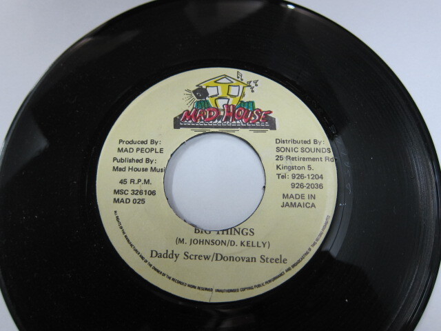 DADDY SCREW & DONOVAN STEELE / BIG THINGS / PEPPER SEED RIDDIM / MAD HOUSE