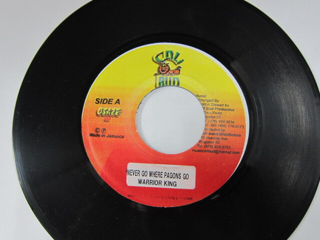 WARRIOR KING / NEVER GO WHERE PAGONS GO / TUNE IN RIDDIM / CALI BAD