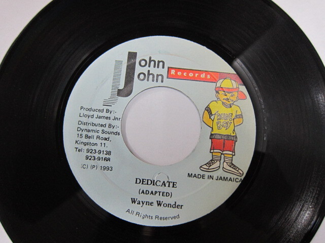 WAYNE WONDER / DEDICATE / PUNNANY RIDDIM / JOHN JOHN