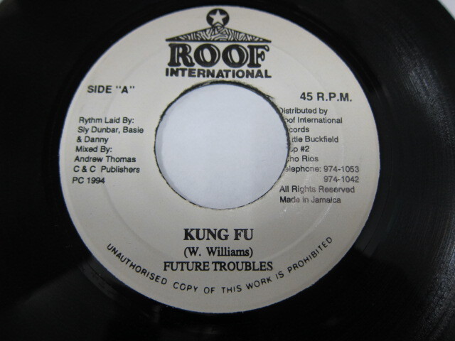 FUTURE TROUBLE / KUNGFU / BUTTERFLY RIDDIM / ROOF INTERNATIONAL