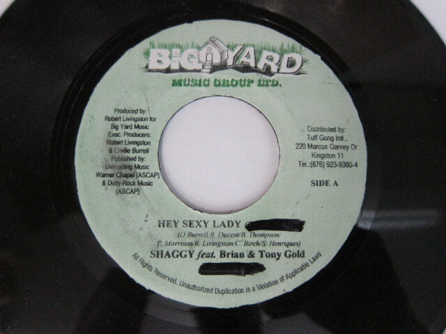SHAGGY feat BRIAN TONY GOLD / HEY SEXY LADY / BIG YARD