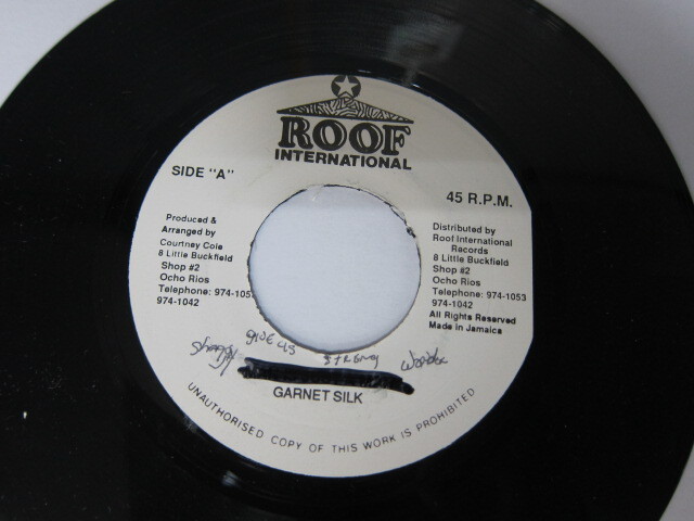 SHAGGY WONDER & GARNET SILK / GIVE US STRENGTH / ROOF INTERNATIONAL