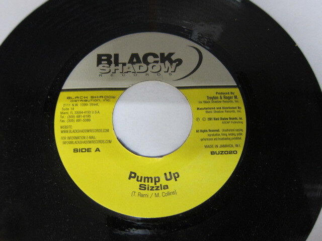 SIZZLA / PUMP UP / THE BUZZ RIDDIM / BLACK SHADOW