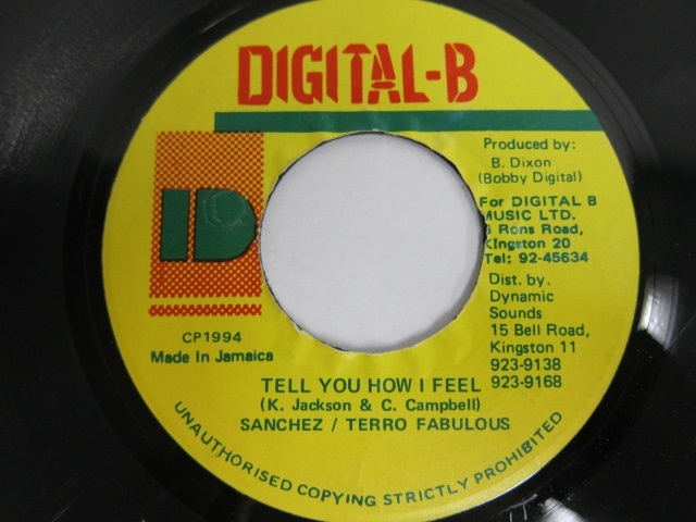 SANCHEZ . TERRO FABULOUS / TELL YOU HOW I FEEL / DIGITAL-B
