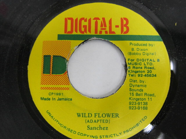 Sanchez / WILD FLOWER / DIGITAL-B