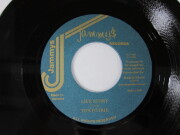 Aston 'Family Man' Barrett / Well Pleased / Fam's/Dub Store