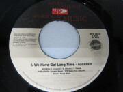 ASSASIN / WE HAVE GAL LONG TIME / MAD INSTRUMENTS RIDDIM / V.P. RECORDS