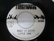 LITTLE JOHN / WHAT IS CATTY / FIREHOUSE