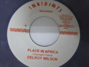 DELROY WILSON / Aside PLACE IN A AFRICA / Bside RUN RUN / INBIDIMTS RECORDS