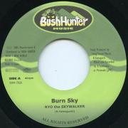 邦楽 Ryo The Skywalker  -  EVER GREEN EVER GREEN - YouTube