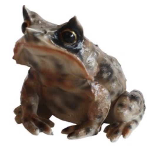 リアルな生きもの造形マグネット