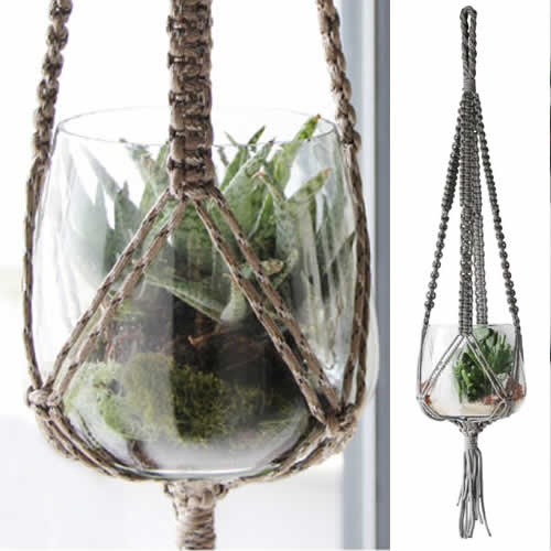 エアプランツの観賞用アイテムとして。