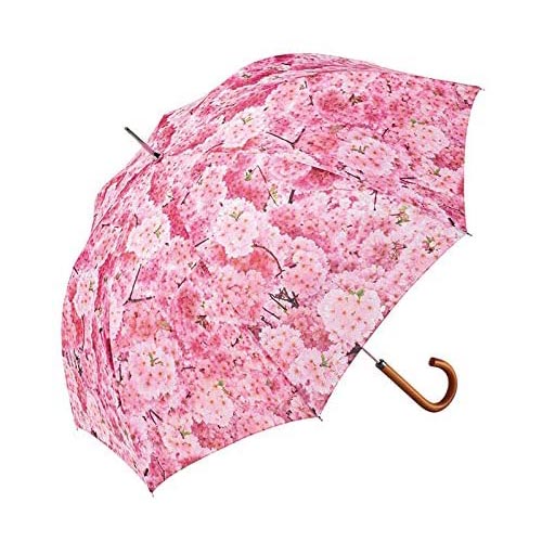 憂鬱な雨の日のお出かけを少し楽しくさせてくれる傘。