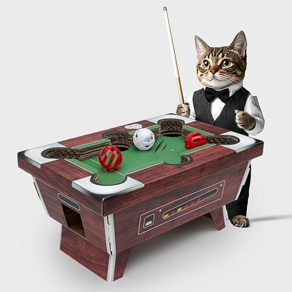 特別設計されたビリヤードテーブルで猫を夢中にさせましょう