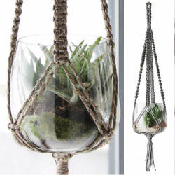 エアプランツの観賞用アイテムとして。