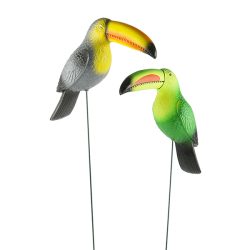 南米の鳥、オオハシで南国の雰囲気を演出。