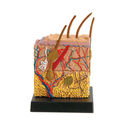 子供向けにの楽しくて視覚的に魅力的な科学活動キット。