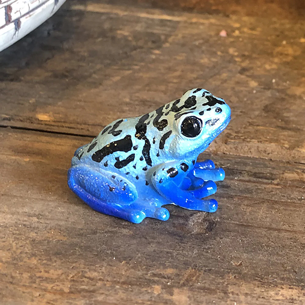 レプタイルズマグ ブルー ポイズンダートフロッグ REPTILES MAG BLUE