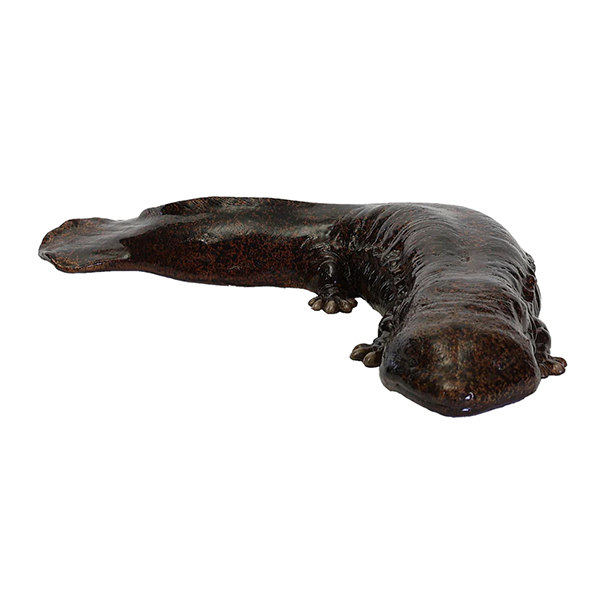 オオサンショウウオ ペットバンク オオサンショウウオ PET BANK GIANT SALAMANDER 25351