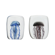 四角い水の中に１匹のクラゲが浮遊しているかのようなガラス製オブジェ