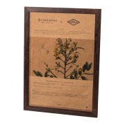 鉄刀木を加工し、流れるような縞模様の木目が特徴的なフレームです。