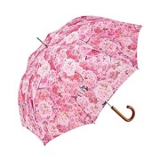 憂鬱な雨の日のお出かけを少し楽しくさせてくれる傘。