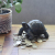 リアルな造形なのにとってもキュートな貯金箱。