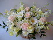 ピュアホワイト