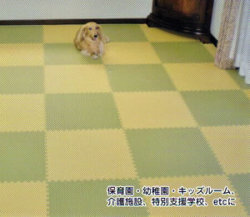 畳柄ジョイントクッション「和み」　JQN-45（1枚）