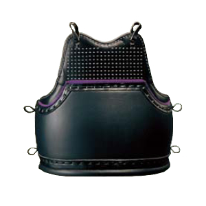 九櫻（九桜）　少年用日本拳法胴　R200DJS