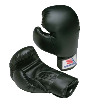 【九櫻・九桜　格闘技】練習用ボクシンググローブRBG310