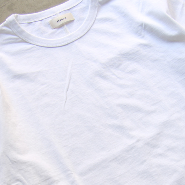 alvana,アルヴァナ,fade center seam s/s tee shirts,acs-c010