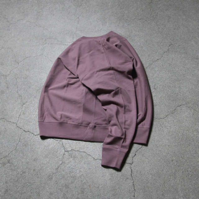 alvana,アルバナ,アルヴァナ,alvana 東京取り扱い店舗,alvana 通販,afw-25037,bd sweat tee shirts (空紡)