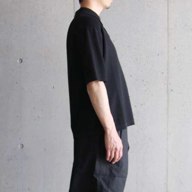 alvana,アルバナ,アルヴァナ,Luster 16/ Polo SS Knit,ポロシャツ