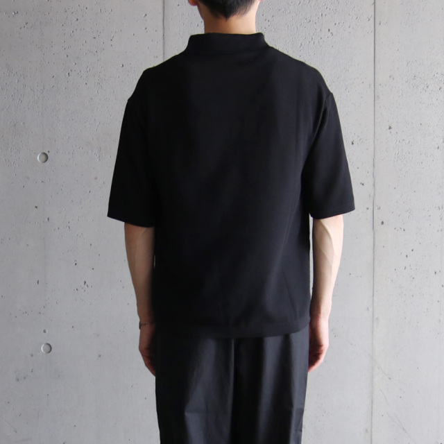 alvana,アルバナ,アルヴァナ,Luster 16/ Polo SS Knit,ポロシャツ