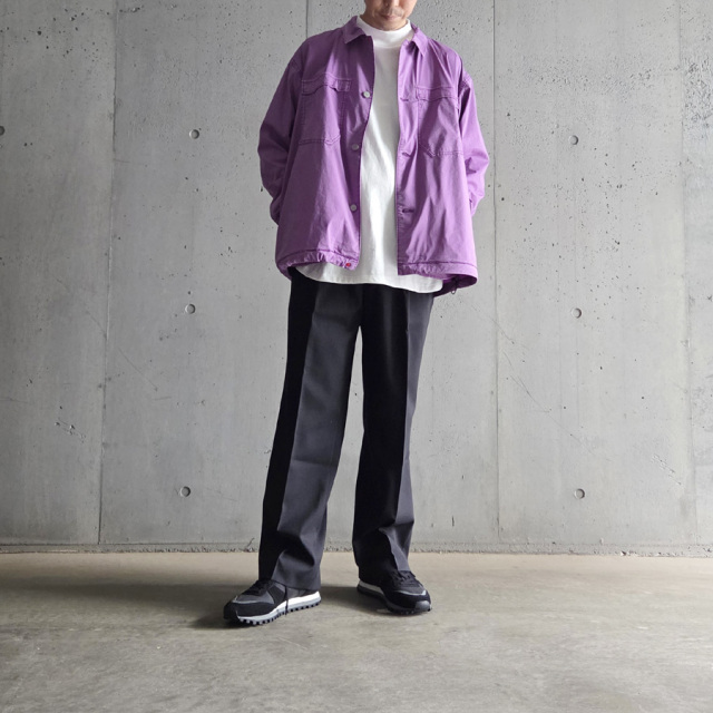 FANTASTICDAYS （ファンタスティックデイズ） [ 2P WIDE-M