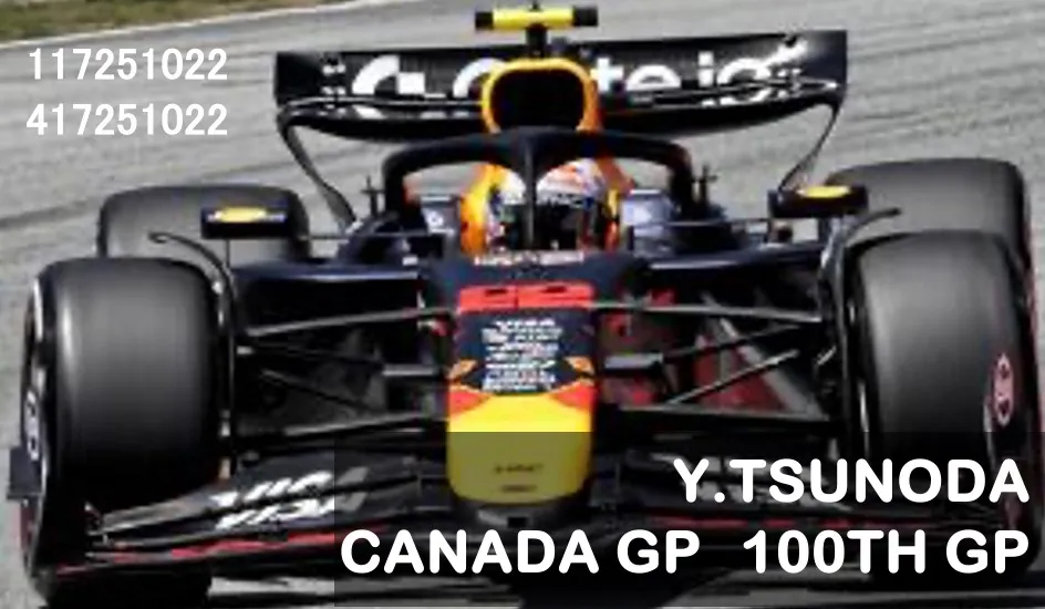 ミニチャンプス　レッドブル 2台セット ミニチャンプス 1/43 レッドブル ルノー RB6 2010 F1