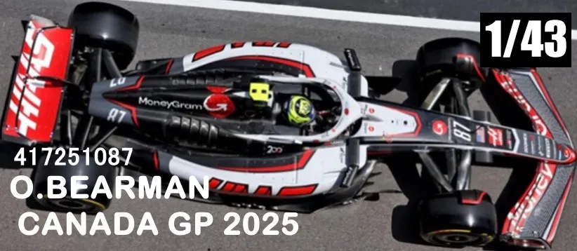 テッチ マクラーレン F1フォミュラー 限定トートバッグ 5点