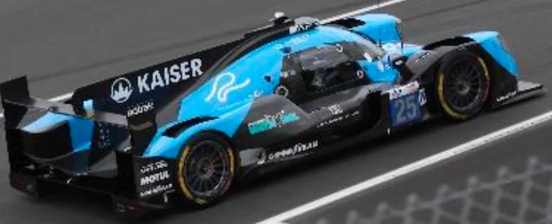 ココスヤシ　(315) ※スーパーシルバー　リーフ ココスヤシ (315) ※スーパーシルバー リーフ - メルカリ