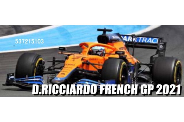 モデルカーグループ 1/18 マクラーレン M23 フランスGP 1976 Winner J