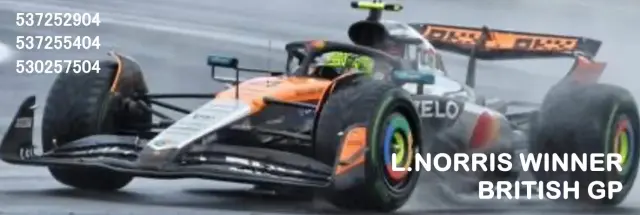 ミニチャンプス 1/43 マクラーレン MCL35 ランド・ノリス 376個限定 ミニチャンプス 1/43 マクラーレン MCL35 ランド・ノリス 376個