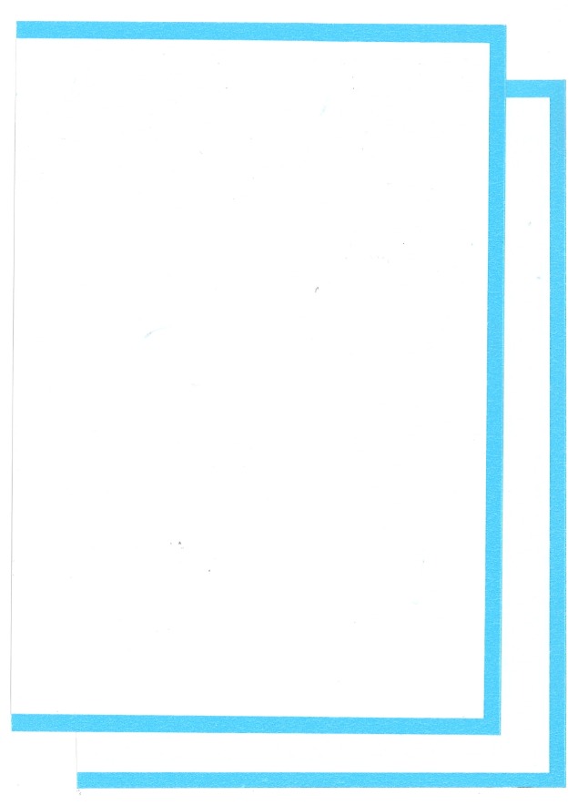 コロラド カラーデカール ホワイト 200×130mm 1枚　10011