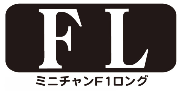 ミニチャンプス 1/43 F1用クリアケース ロングタイプ (20枚入)　C-14FL