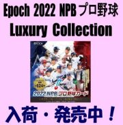 Epoch 2022 NPB 日本プロ野球 Luxury Collection Baseball Pack Box