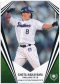 中山翔太 BBM 2019 Rookie Edition Premium REP ルーキーパラレルカード 07/25 RC Green Parallel Shota Nakayama