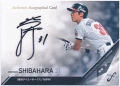 柴原洋 BBM 2020 Fusion フュージョン 直筆サインカード 32/89 Auto Hiroshi Shibahara
