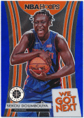 Sekou Doumbouya NBA 2019-20 Panini Hoops Premium Stock We Got Next Blue Prizm