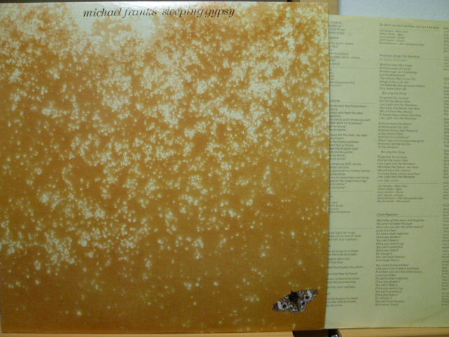 MICHAEL FRANKS　マイケル・フランクス / Sleeping Gypsy