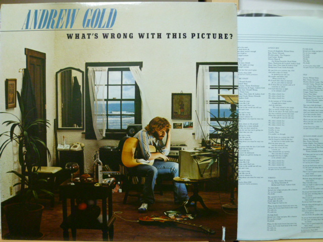 ANDREW GOLD アンドリュー・ゴールド / What's Wrong With This Picture ?